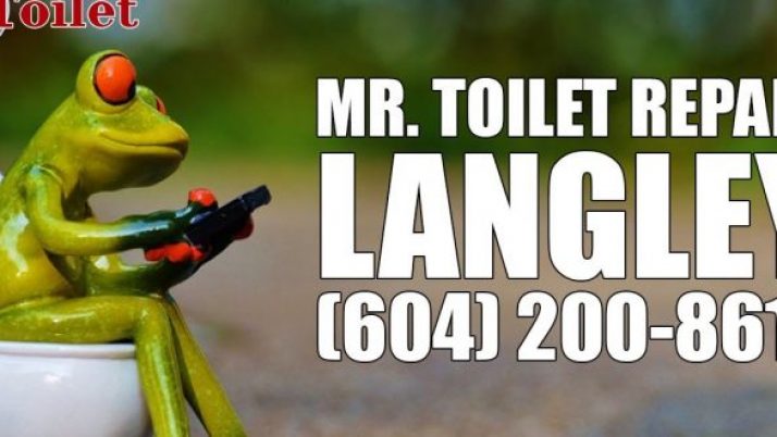 Toilet Repair Langley (604)-200-8617 | Mr. Toilet ™